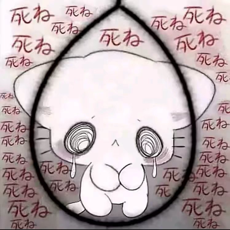 好宝宝's avatar